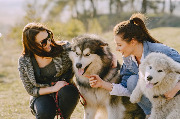 무료 사진 강아지와 함께 햇볕이 잘 드는 필드에 두 명의 세련 된 여자