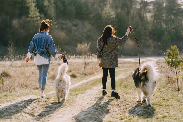 Две стильные девушки в солнечном поле с собаками