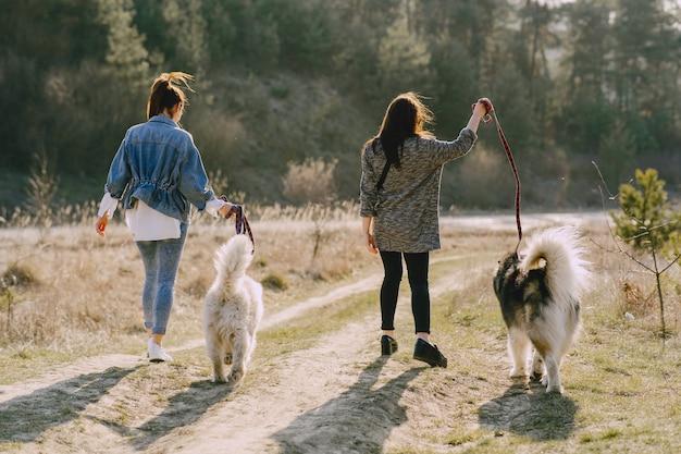 犬と日当たりの良いフィールドで2つのスタイリッシュな女の子