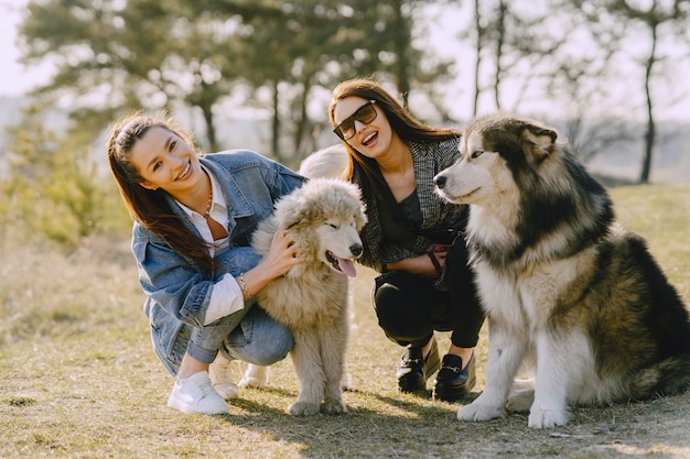 Two stylish girls in a sunny field with dogs