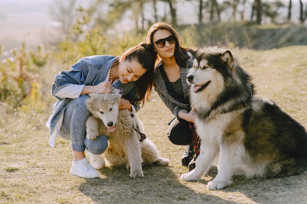 Foto gratuita due ragazze alla moda in un campo soleggiato con i cani