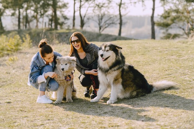 犬と日当たりの良いフィールドで2つのスタイリッシュな女の子