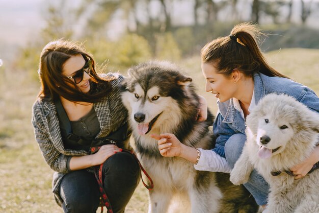 犬と日当たりの良いフィールドで2つのスタイリッシュな女の子