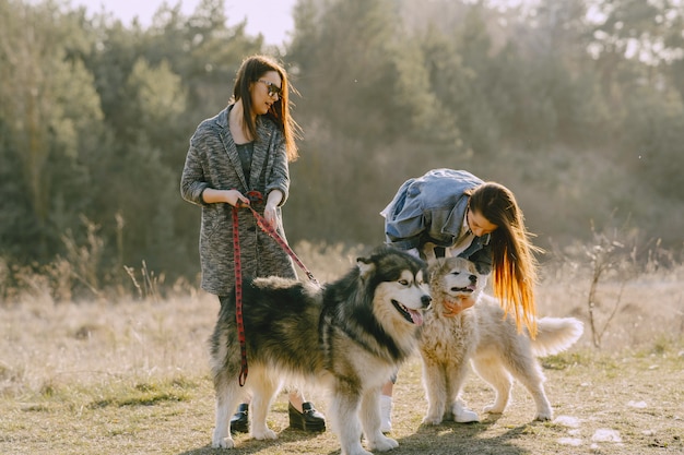 Две стильные девушки в солнечном поле с собаками