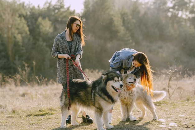 犬と日当たりの良いフィールドで2つのスタイリッシュな女の子