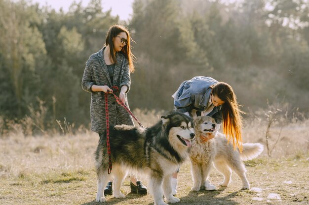 犬と日当たりの良いフィールドで2つのスタイリッシュな女の子