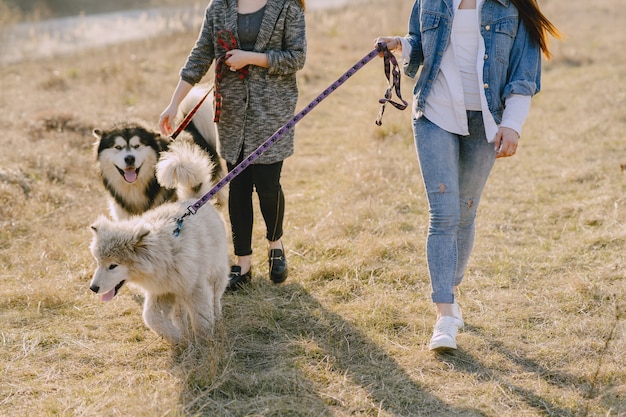 Two stylish girls in a sunny field with dogs