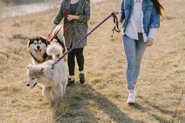 犬と日当たりの良いフィールドで2つのスタイリッシュな女の子