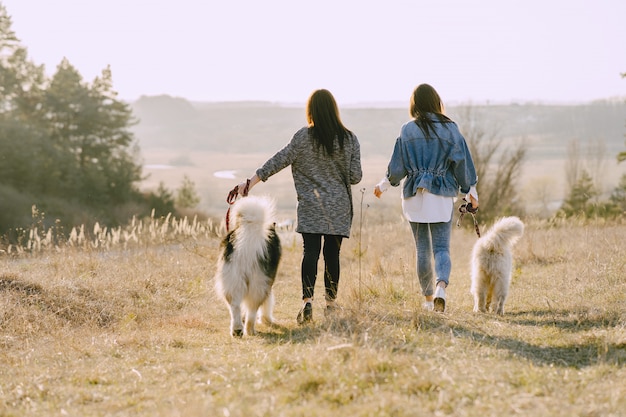 Two stylish girls in a sunny field with dogs