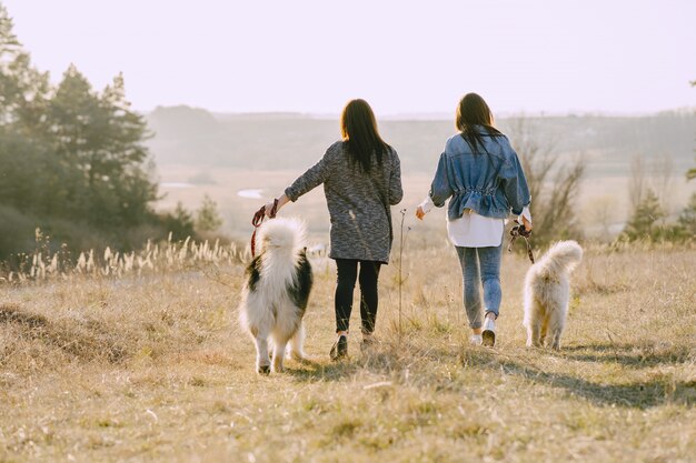 Two stylish girls in a sunny field with dogs