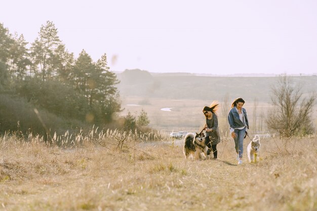 Two stylish girls in a sunny field with dogs