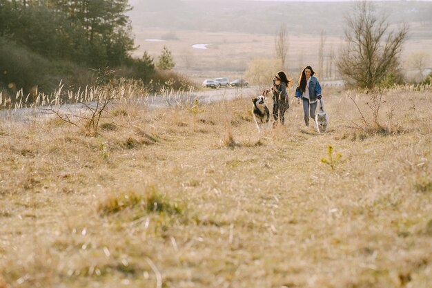 Two stylish girls in a sunny field with dogs