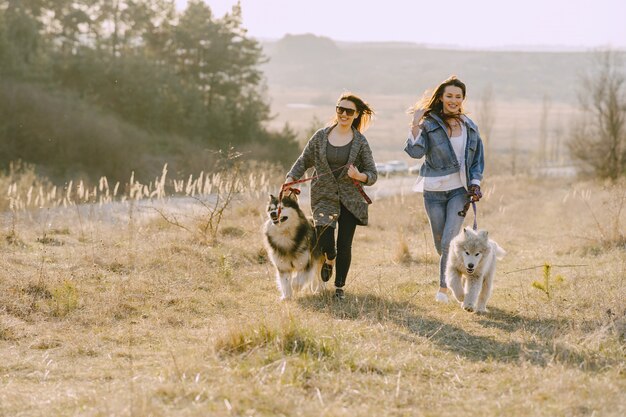 Two stylish girls in a sunny field with dogs