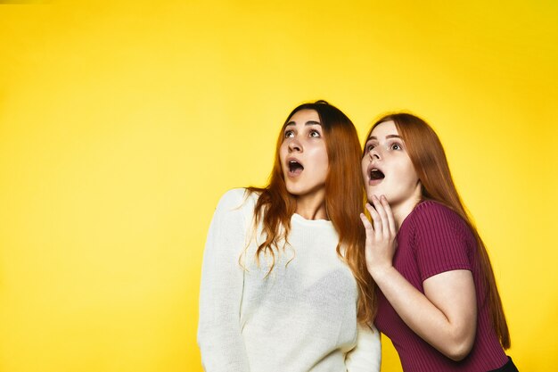 Two surprised redhead caucasian girls are looking far away