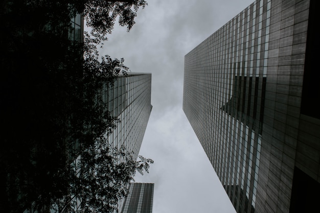 Два высоких здания, обращенные друг к другу, сняты под низким углом