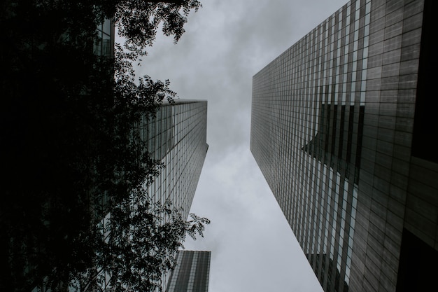 Two tall buildings facing each other shot from a low angle