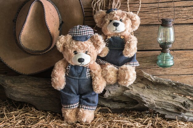 Two teddy bears in barn studio