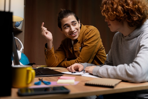 Two teenage boys studying together at home with laptop