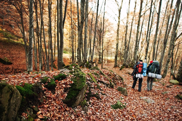 배낭을 메고 가을 숲을 걷고 있는 두 명의 관광객
