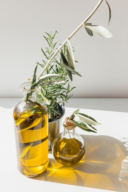 Two transparent olive oil bottles with rosemary pot