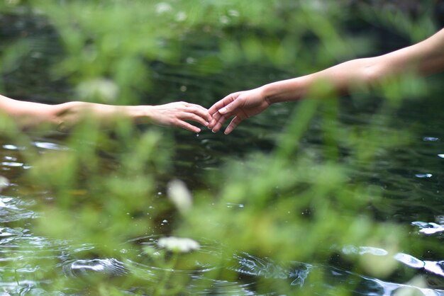 Two woman hands of different skins meet in the water.