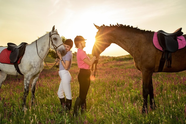 Две женщины и две лошади на открытом воздухе летом счастливый закат вместе природа