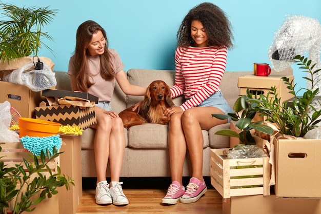 Free photo two women friends relax on sofa together, play with pedigree dog, surrounded with unopened boxes