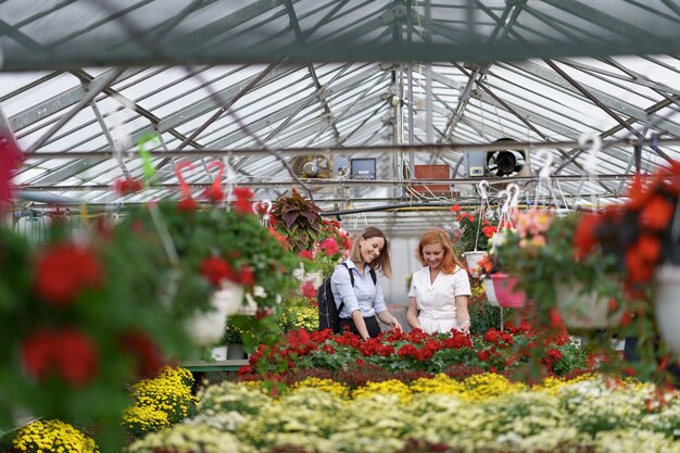 Two women posing in a greenhouse between hundreds of flowers