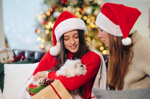 작은 강아지와 함께 두 여자는 크리스마스에 소파에 앉아있다