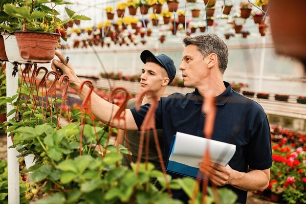 Two workers communicating while checking growth of plants in a plant nursery