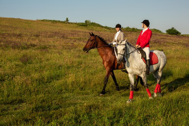 Two young women riding horse in park. Horse walk in summer. Outdoor photography in lifestyle mood