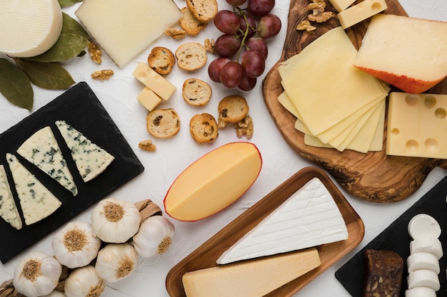 Types of cheese with fresh grapes and ingredient on concrete backdrop