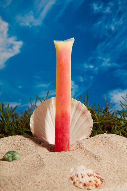 Foto gratuita natura morta tipica dei freezies brasiliani