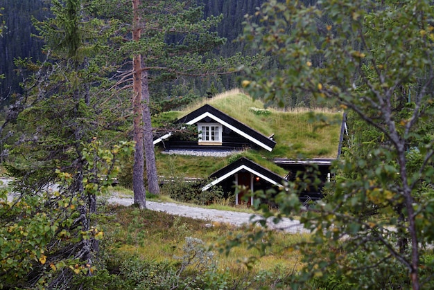 ノルウェーの典型的なノルウェーの田舎のコテージ。息をのむような風景と美しい緑に囲まれています