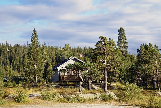 Типичный норвежский сельский коттедж с захватывающим дух пейзажем и красивой зеленью в Норвегии