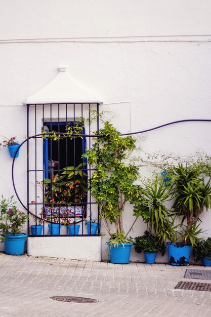 Typical spanish window