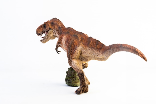 Tyrannosaurus t-rex, dinosaur isolated