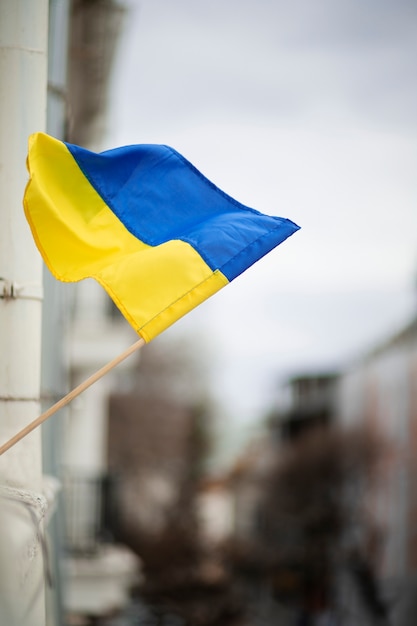 Foto gratuita bandiera ucraina per strada