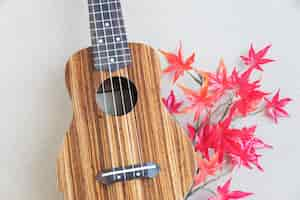 Free photo ukulele in japan