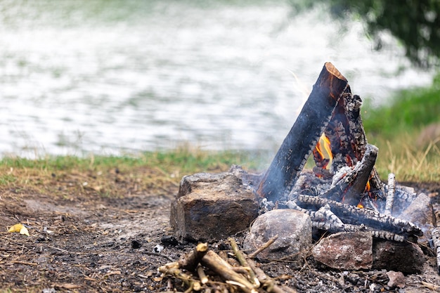 Free photo unburned campfire with tree branches in forest copy space