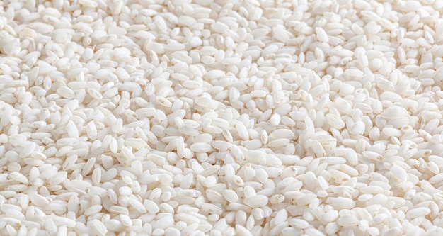 Sushi rice is one of the most famous types of rice varieties in India | LoveLocal | lovelocal.in