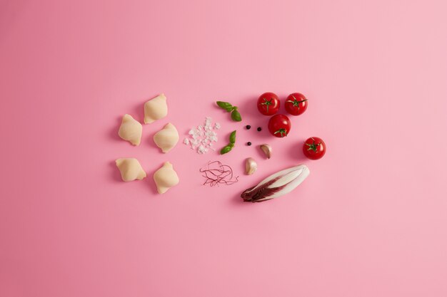 Uncooked pasta shells, sea salt, ripe tomatoes, green leaves of basil, dried chili pepper threads as garnish, red salad chicory for preparing delicious appetizing pasta dish. Vegetarian concept