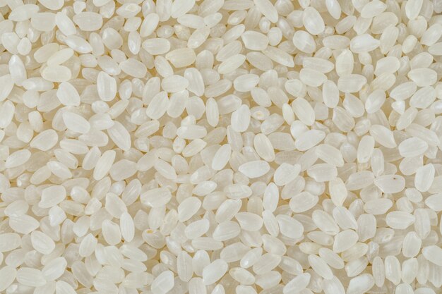 Uncooked round rice close-up.