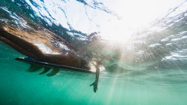 Underwater shot of woman with surfboard