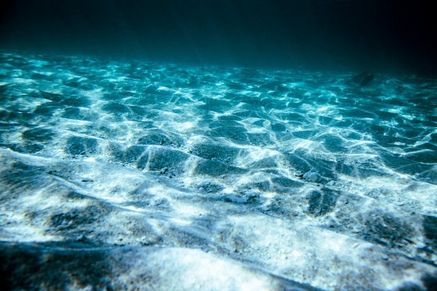 Free photo underwater wave