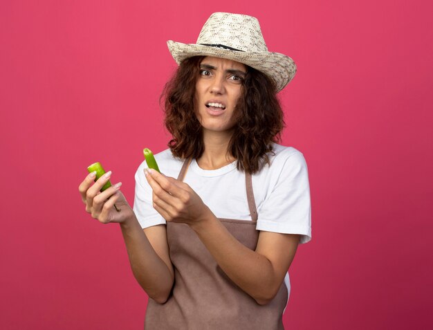 Unpleased young female gardener in uniform wearing gardening hat holding breaking pepper