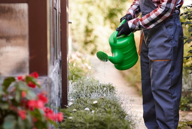 Unrecognizable gardener watering flowers