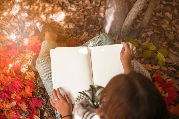 Unrecognizable woman reading on sunny day in forest