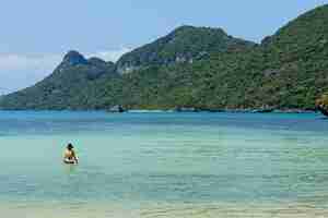 Free photo an unrecognizable woman swimming in the sea in the ang thong marine national park.