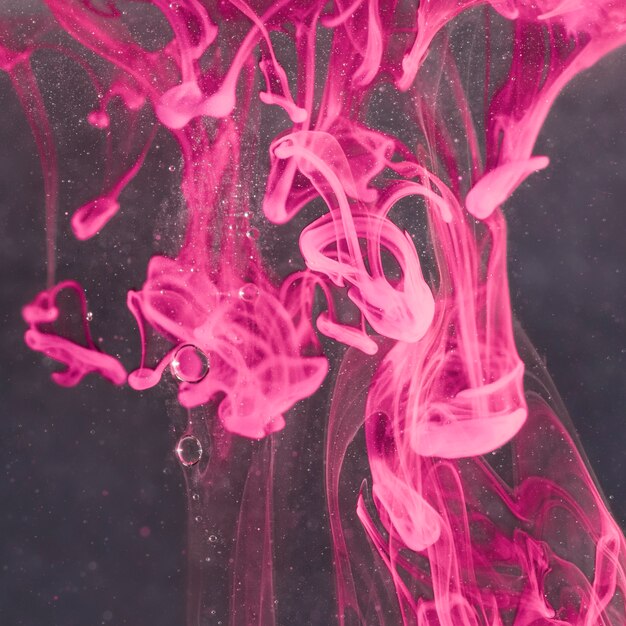 Перевернутая морская флора и фауна медузы